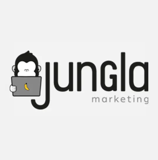portfolio jungla marketing cover